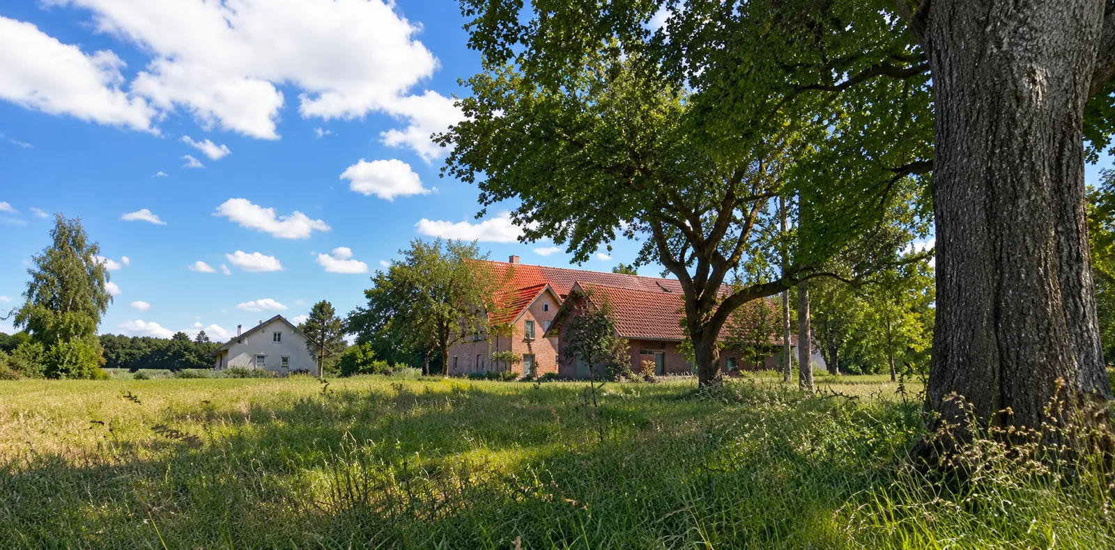 Blick auf dem Weg zur Katzenpension