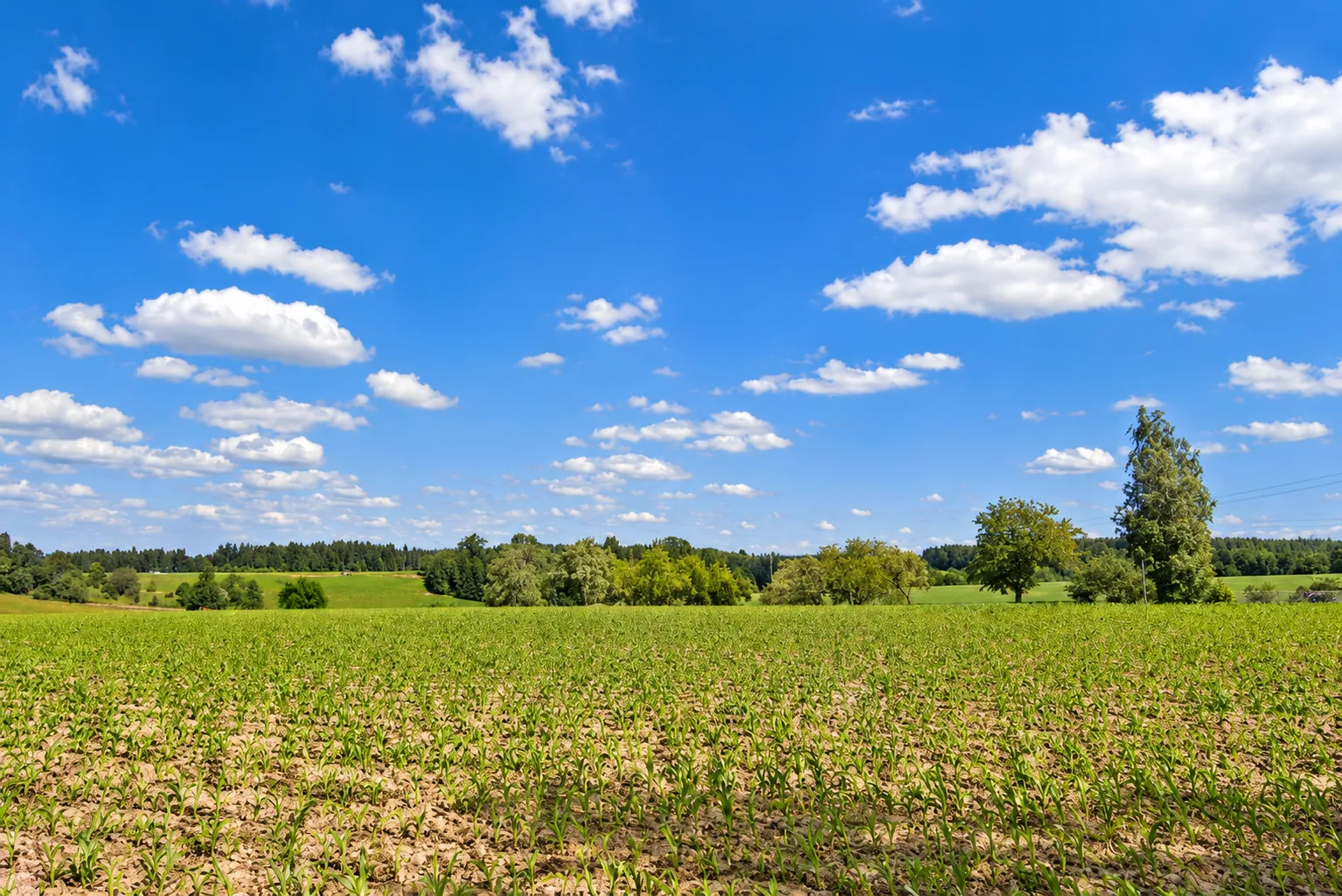 Landschaft auf dem Weg zur Katzenpension