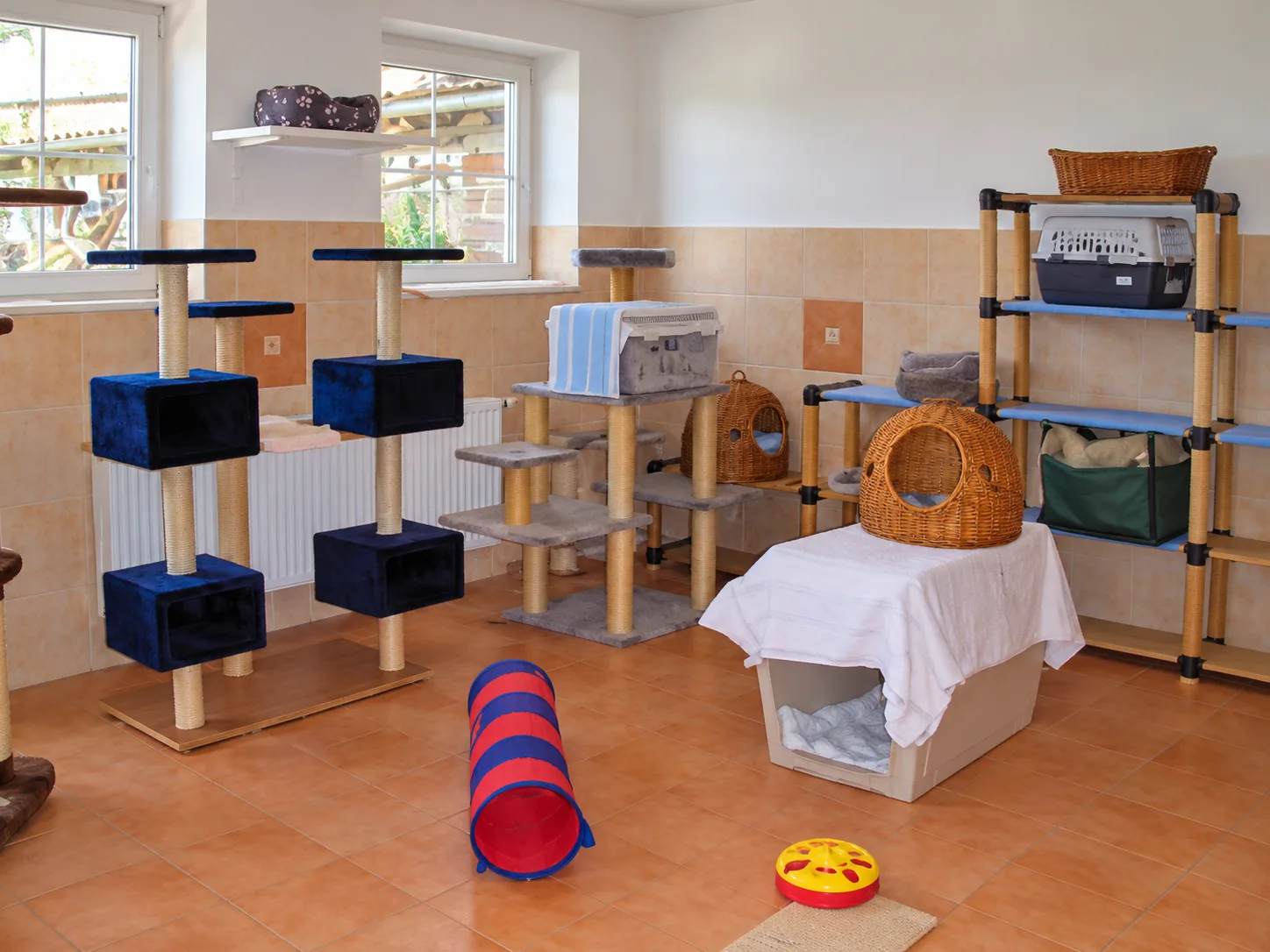 Kratzbäume und Aussichtsplattformen in Zimmer 2